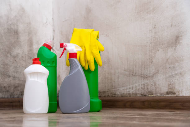 Best Mold Odor Removal Services  in Chester, NY